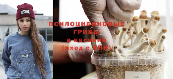 амф Верея