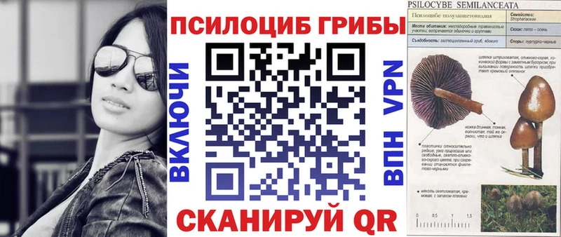 Галлюциногенные грибы Magic Shrooms  Ковылкино 